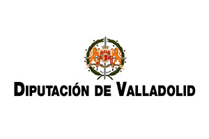 LOGO DIPUTACIÓN DE VALLADOLID